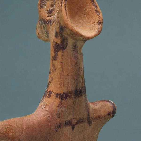 head, oblique rear view