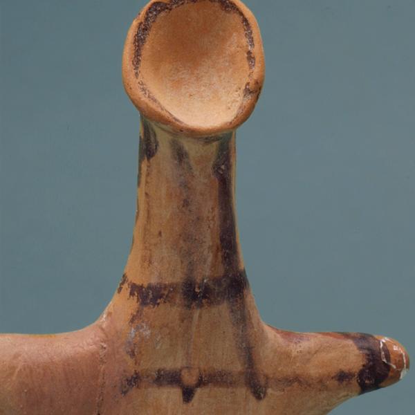 head, rear view