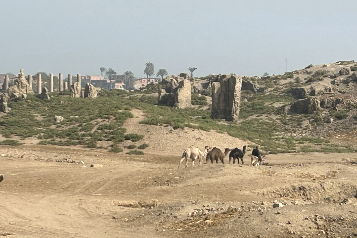 Landscape of Egypt
