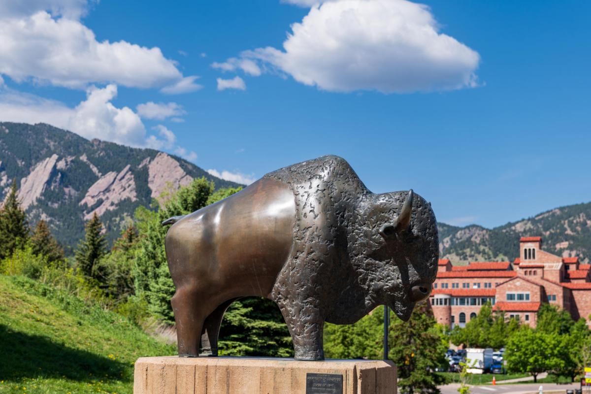 Buffalo statue at CU Boulder