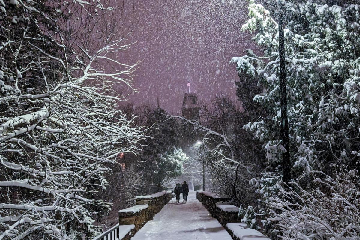 CU in the snow