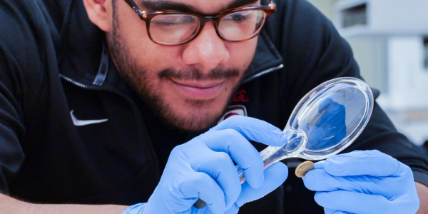 Larry Gill examining coins