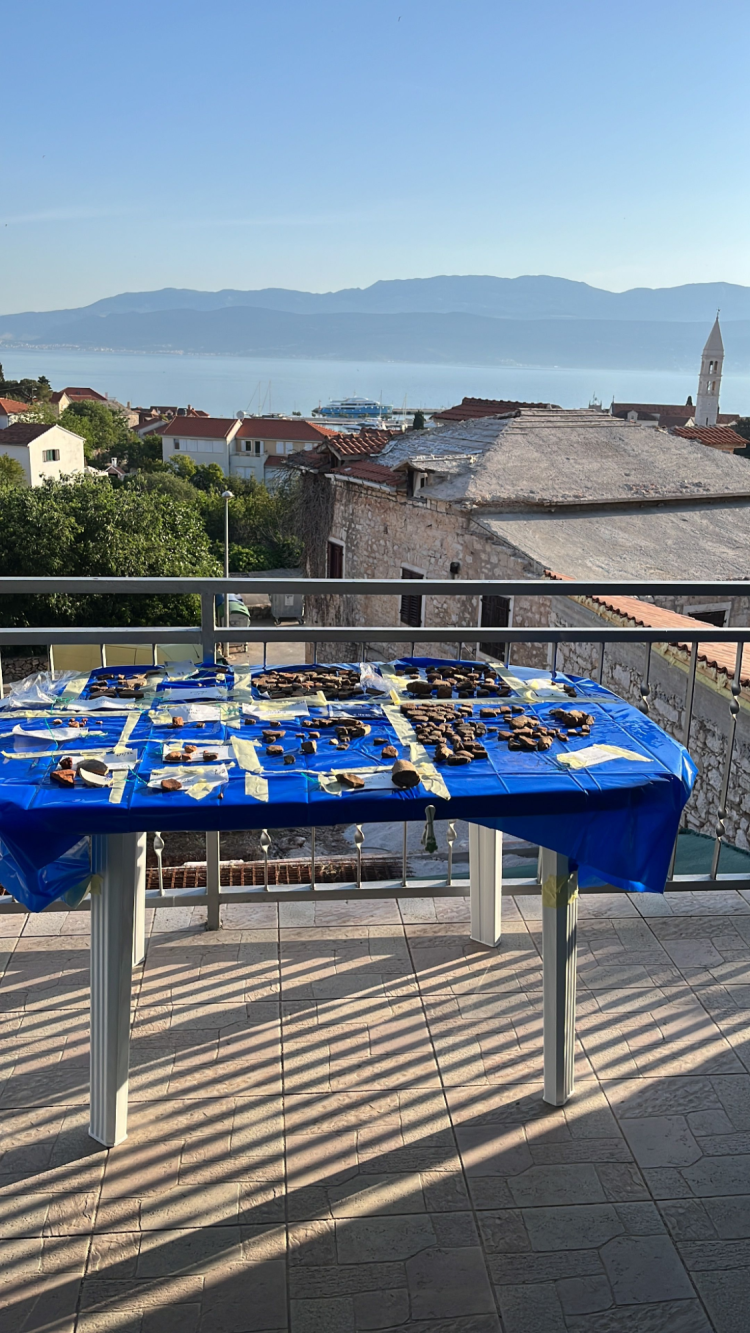 A table covered in artifacts from the excavations in the lab in Supetar looking across to the mainland