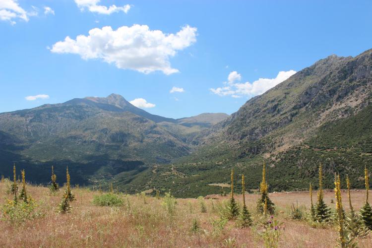 Landscape of the Western Argolid region of Southern Greece