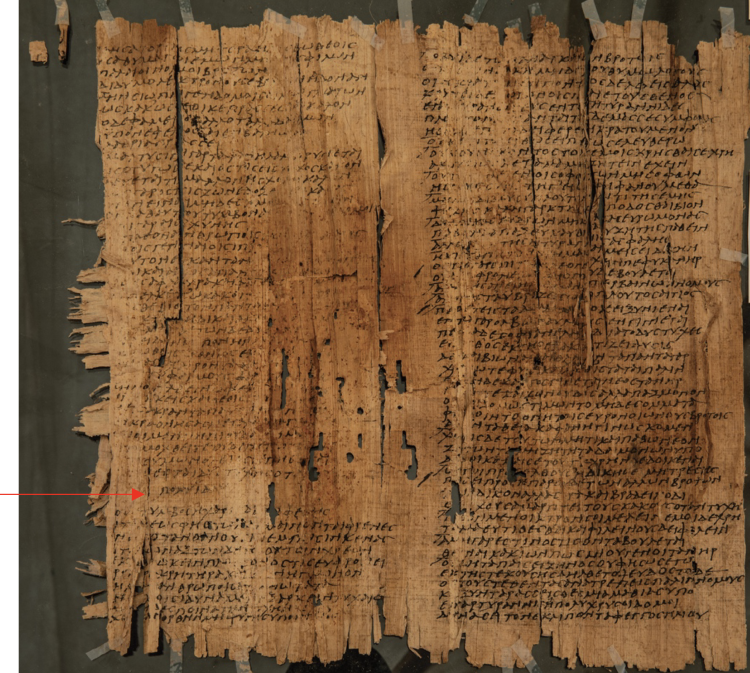 Image of the papyrus