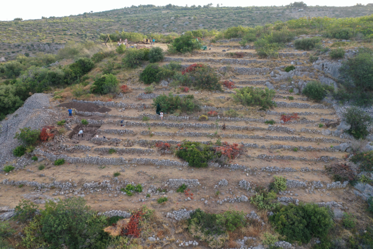 A view of the south side of Gradina Rat showing a series of 19th-century terrace walls and the two 2022 trenches on the left side of the photo (on the hillslope and on the plateau)