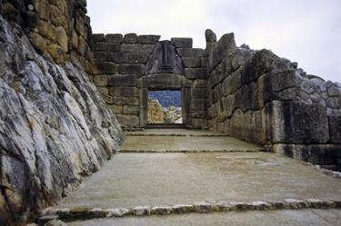 my cenae reitzammer