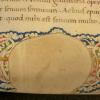 Old Latin writing on papyrus