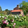 umc flowers