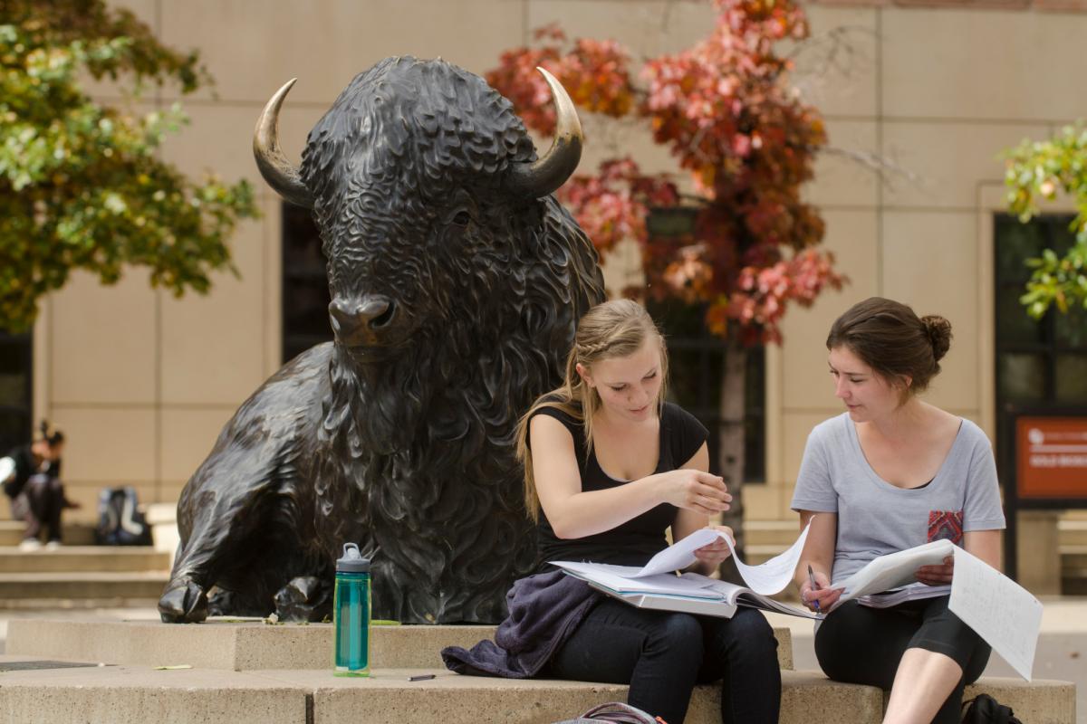 Students studying near Ralphie