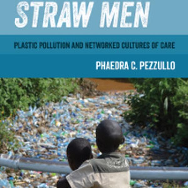 Book Cover image for Beyond Straw Men