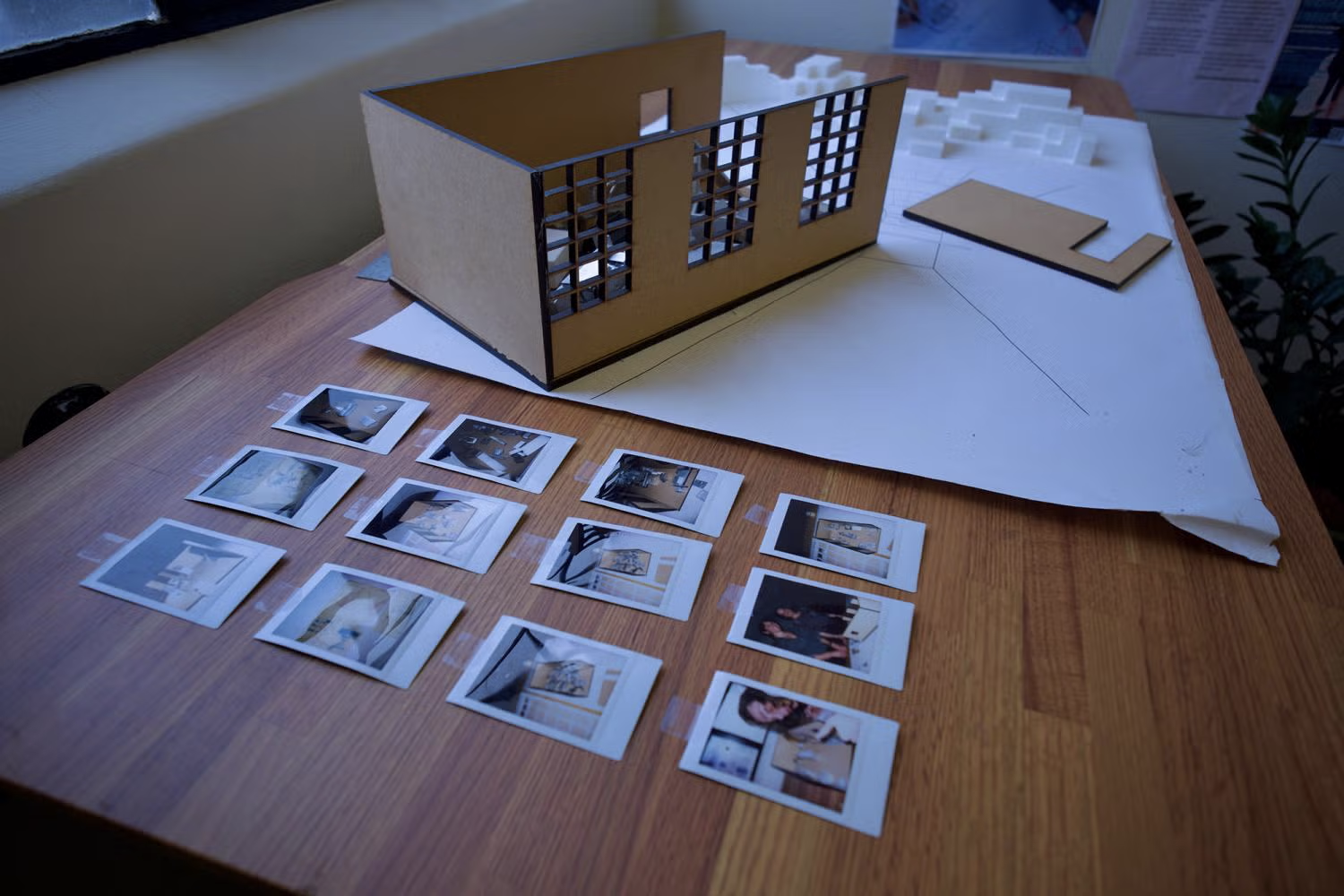 ENVD CEDaR project