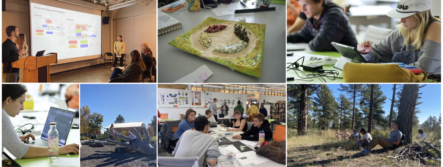 collage of ENVD classwork and collaboration