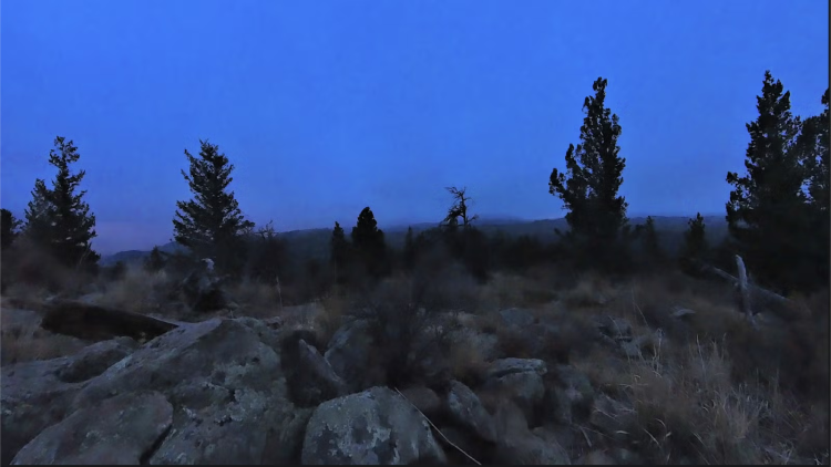 A photo from the top of a mountain with mossy rocks in the foreground, a downward hill and tall evergreen trees in the middle ground, and a purple-blue sky over small foggy mountains in the background.