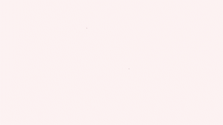 chihuan animation