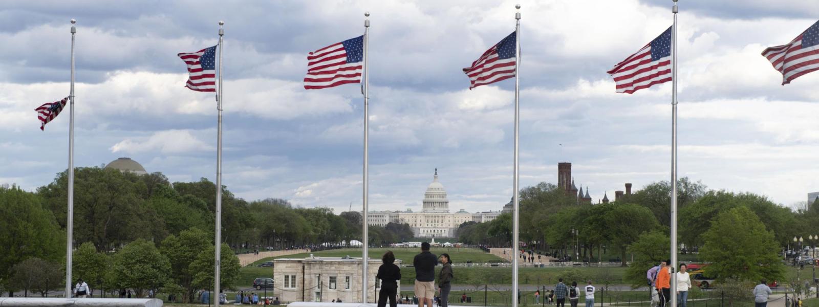 Flags fly on the National Mall