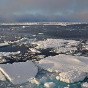 Arctic sea ice