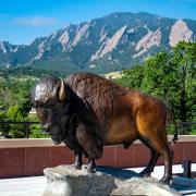 Ralphie statue