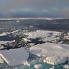 Arctic sea ice
