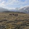 Hiking in Svalbard