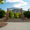 folsum field on a sunny spring day