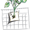 a plant sprouts from Monday on a 2022 calendar