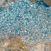Disposable plastics choke a shoreline.