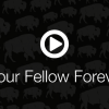 From Your Fellow Forever Buffs