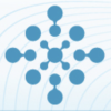 VIS 2019 logo.