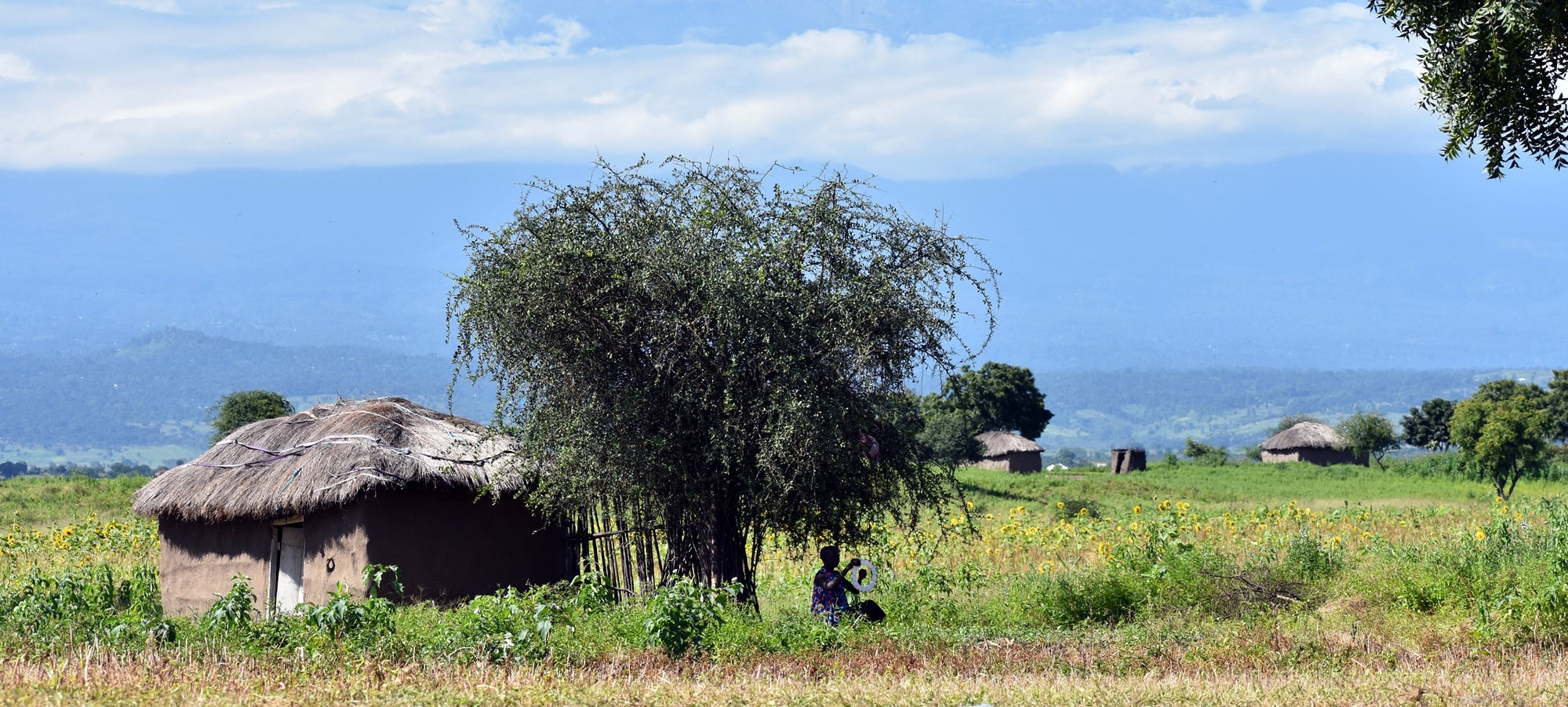 The house where Mollel grew up in her village in Tanzania.