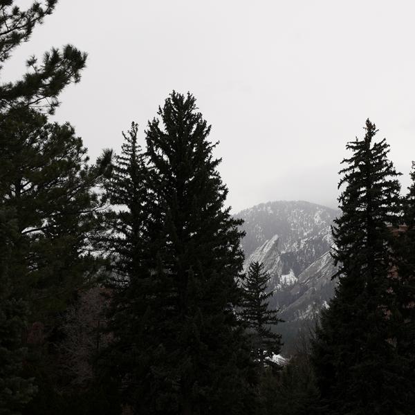 Flatirons peeking through trees