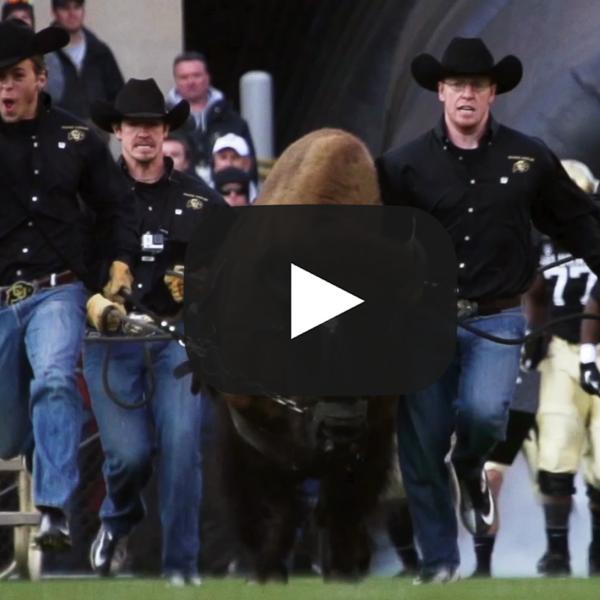 Pac-12 screenshot