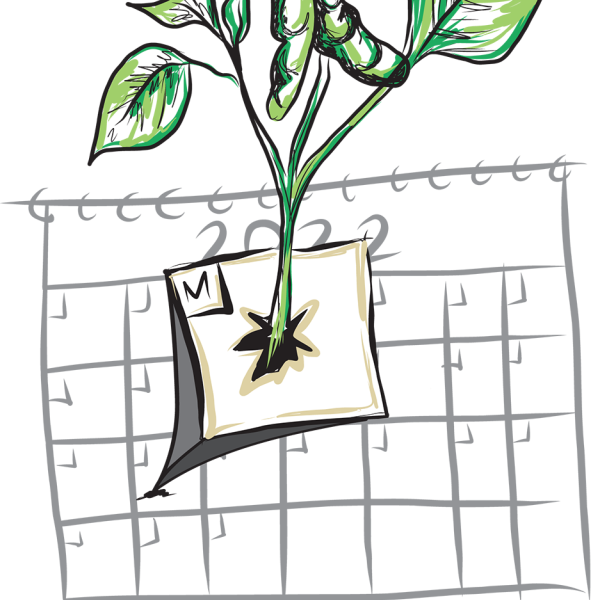a plant sprouts from Monday on a 2022 calendar