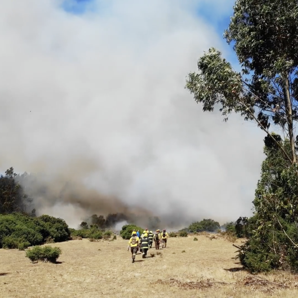 video still of a firefighting crew
