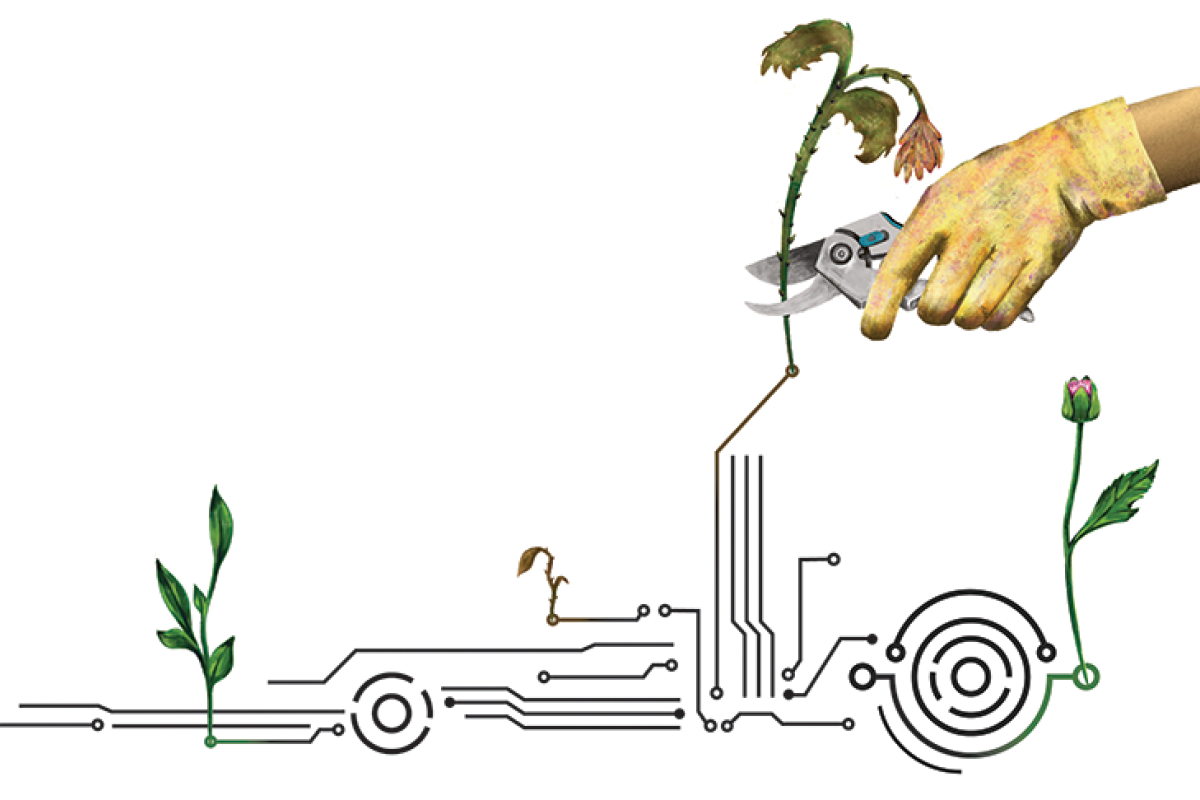 Illustration of watering flowers on a datastream