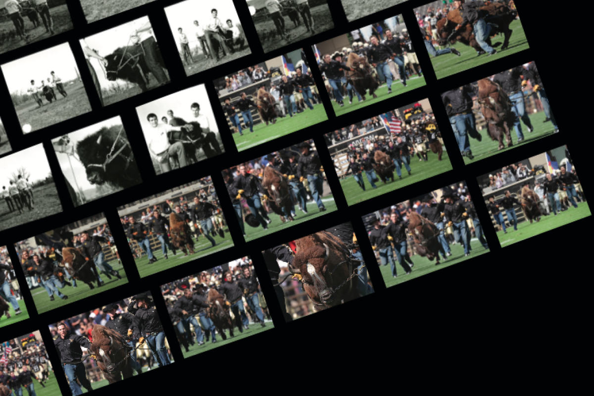 Ralphie collage