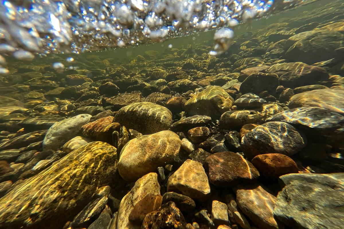 Colorado River bed