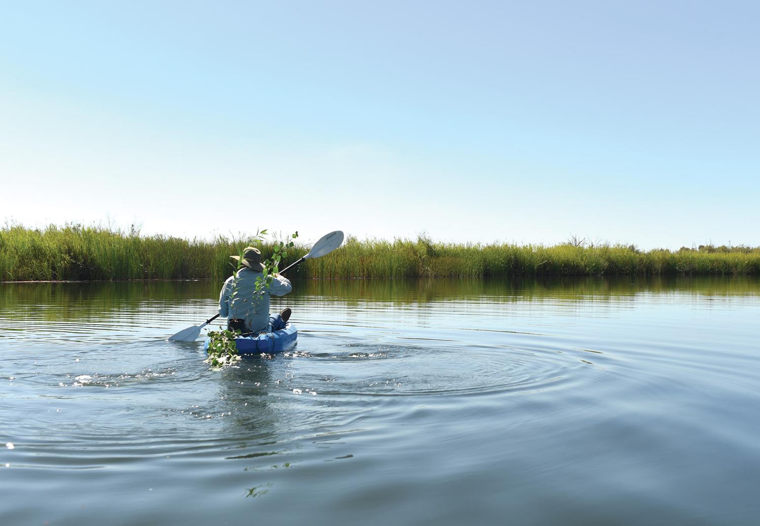 Eduardo Blancas, with Restauremos el Colorado—one of six NGOs in a coalition called Raise the River—paddles out to a restoration site near Chausse, Baja California. His NGO works with the U.S. and Mexican governments to secure water from the Colorado River to restore native wetland in the Colorado River Delta, in Mexico.