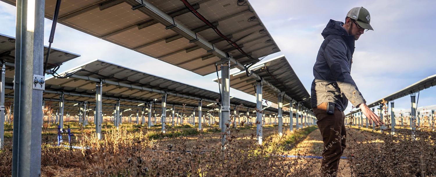 Byron Kominek, founder of Jack’s Solar Garden