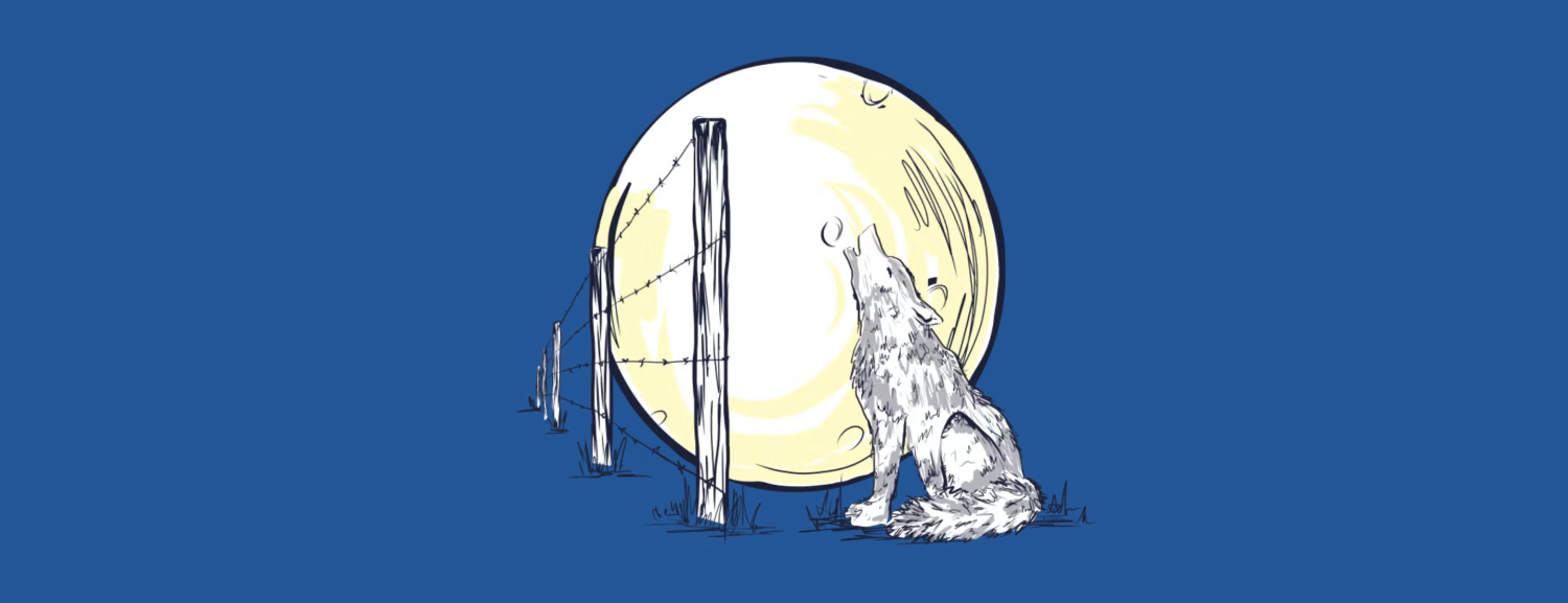 wolf howling at the moon in front of a fence