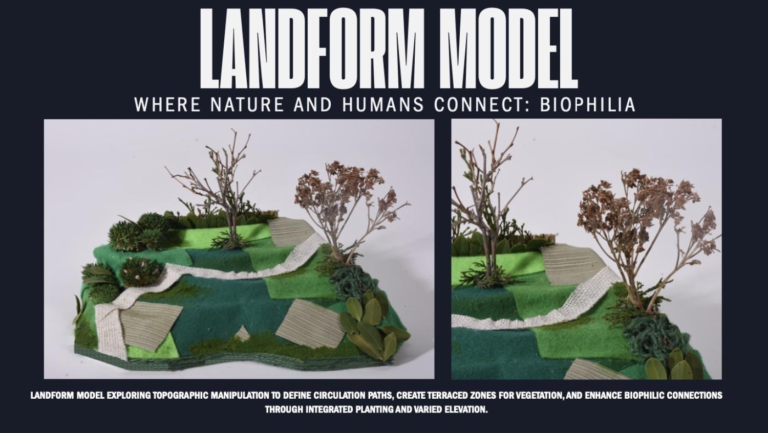 Lily Polack's EnvDes Project