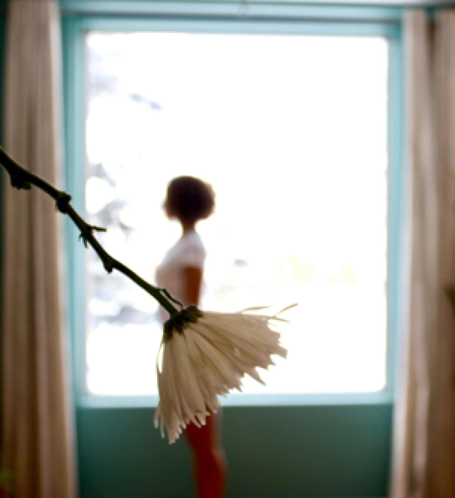 By Abigail Cotter
