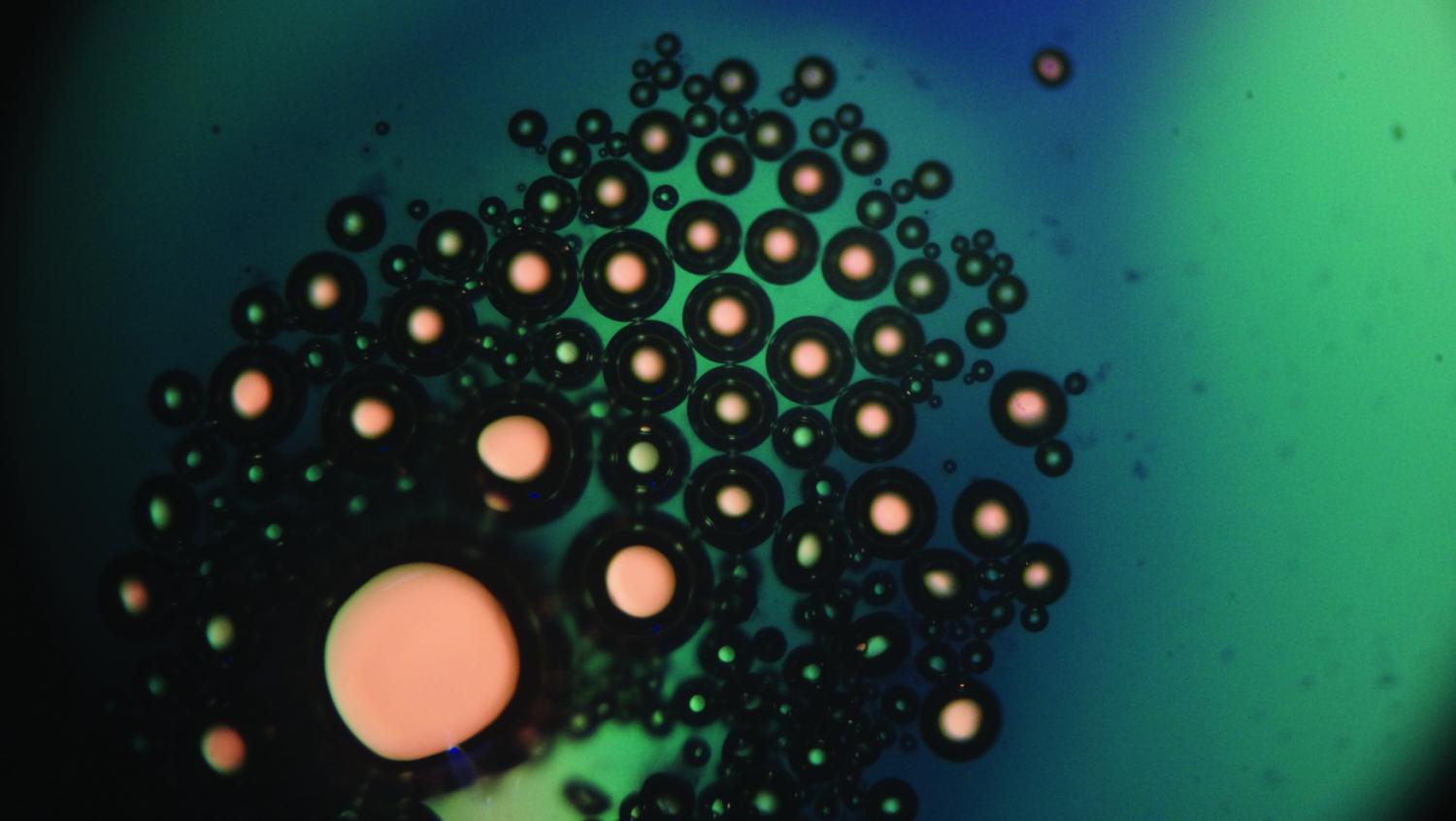 Photo of sugar crystals and carbonated water