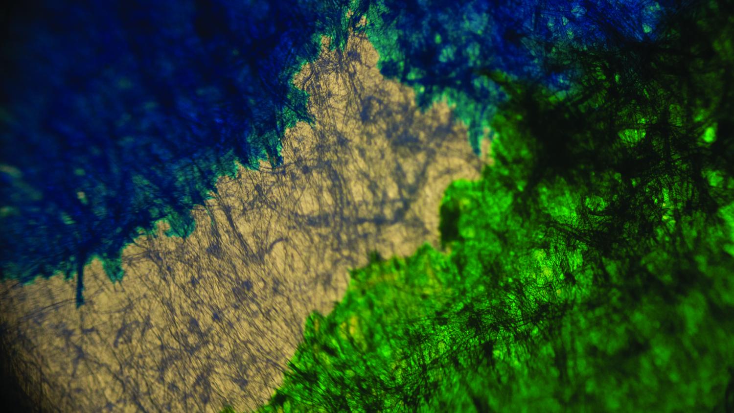 Tissue paper and ink