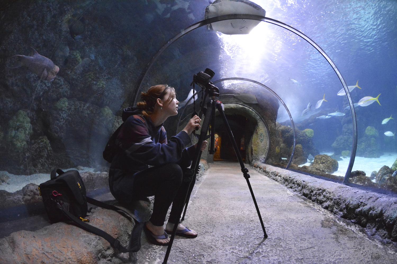 Taking pictures in the Aquarium.