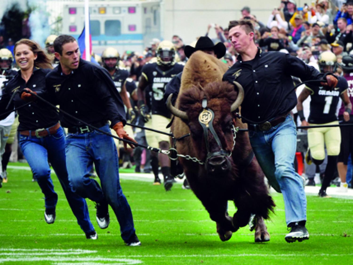 Ralphie and handlers