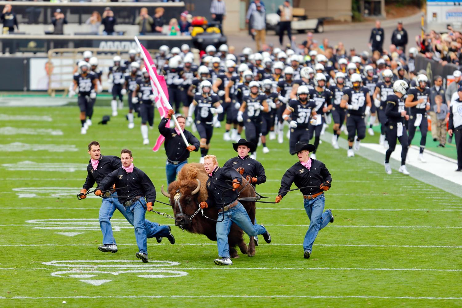 Ralphie and handlers