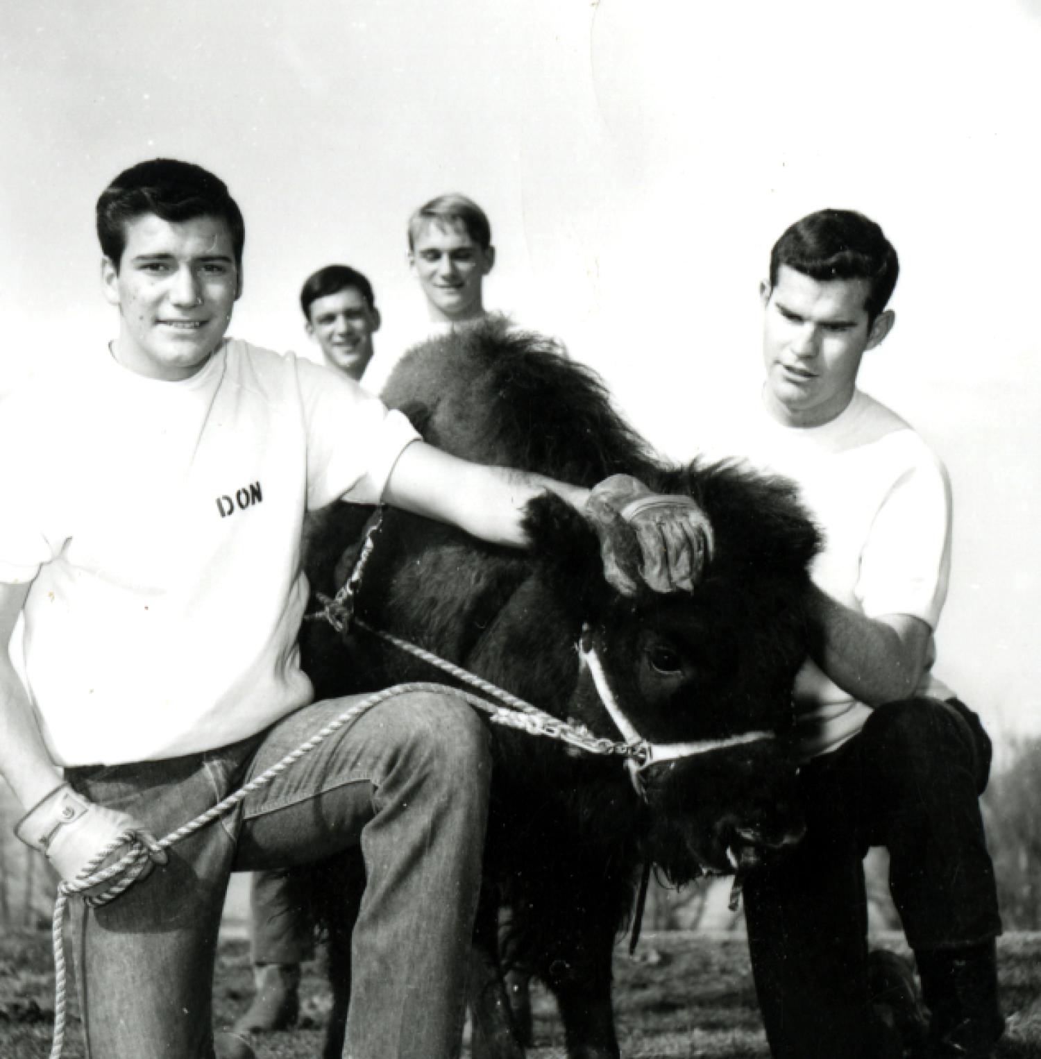 Ralphie I and handlers