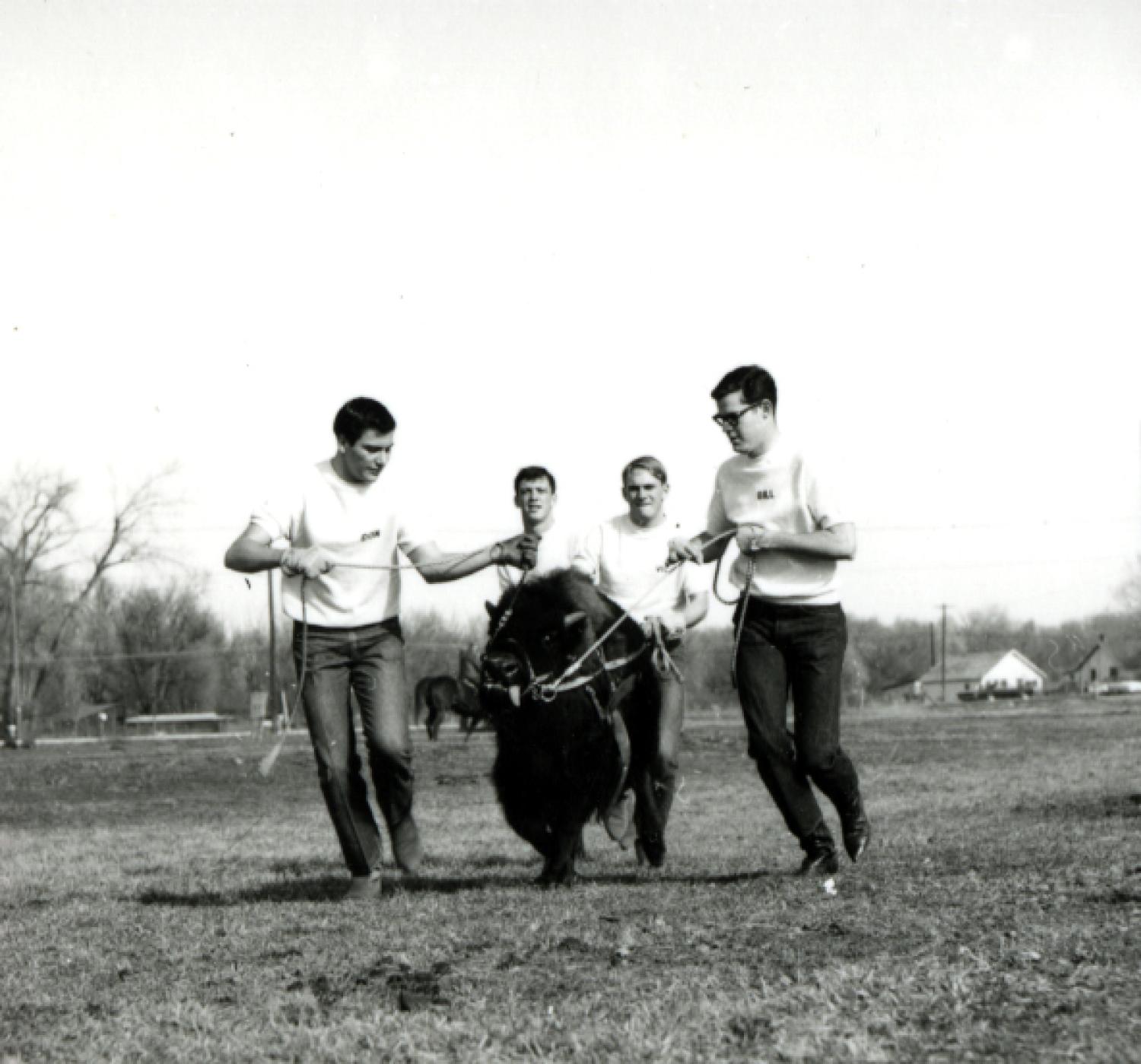 Ralphie I and handlers