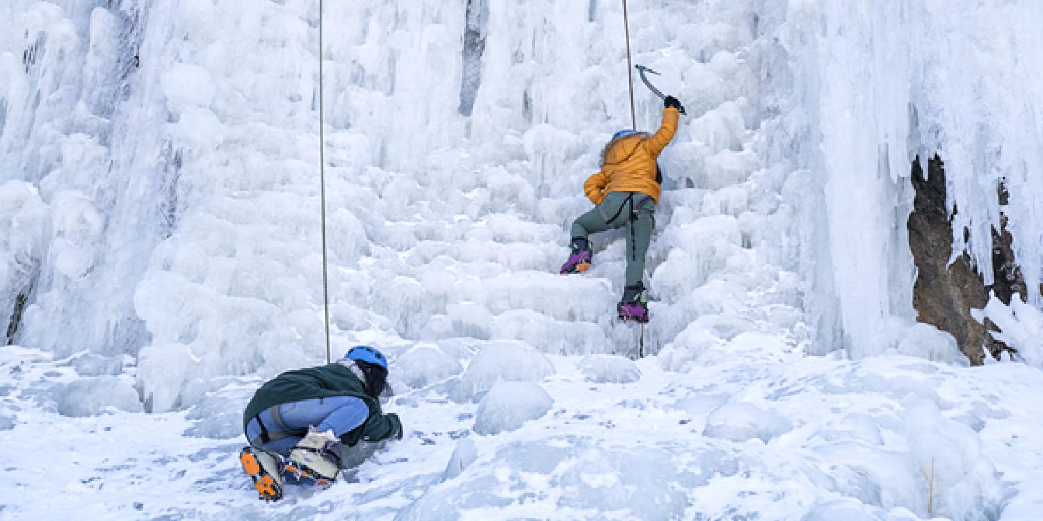 Photo by Ross Taylor. Part of 'Gallery: Scouting new territory'